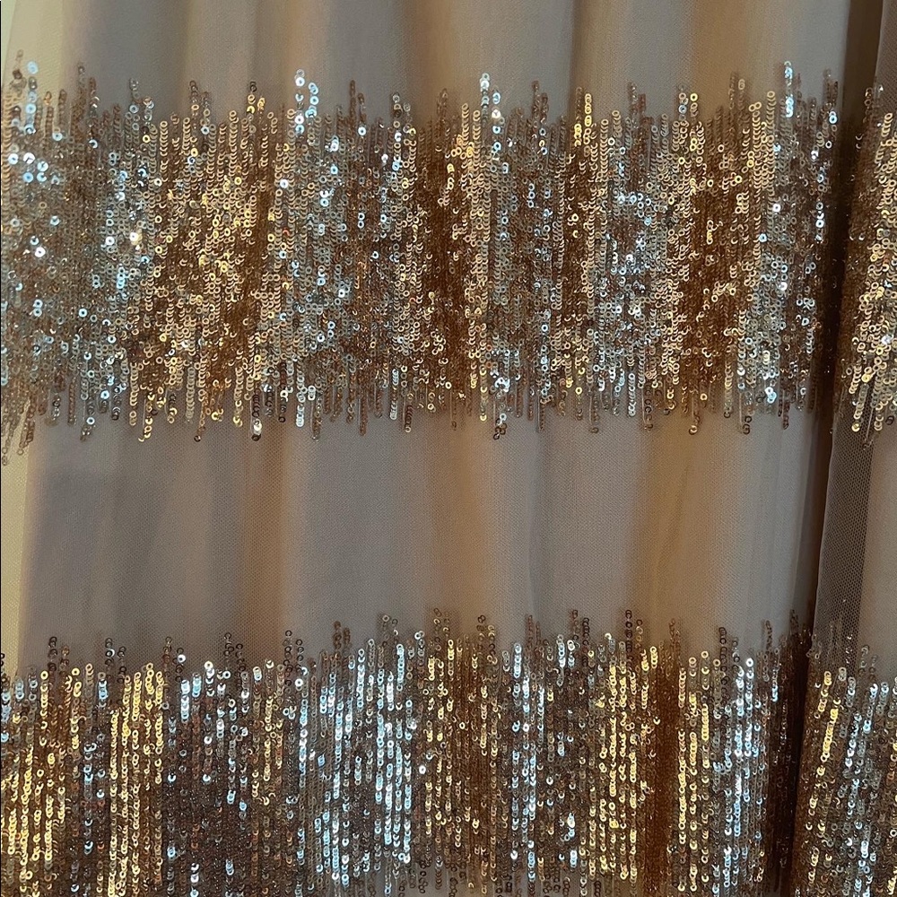 Anthropologie Eva Franco Revelry Skirt Sequin Midi 10 12 Free People Farm Rio - Picture 7 of 7